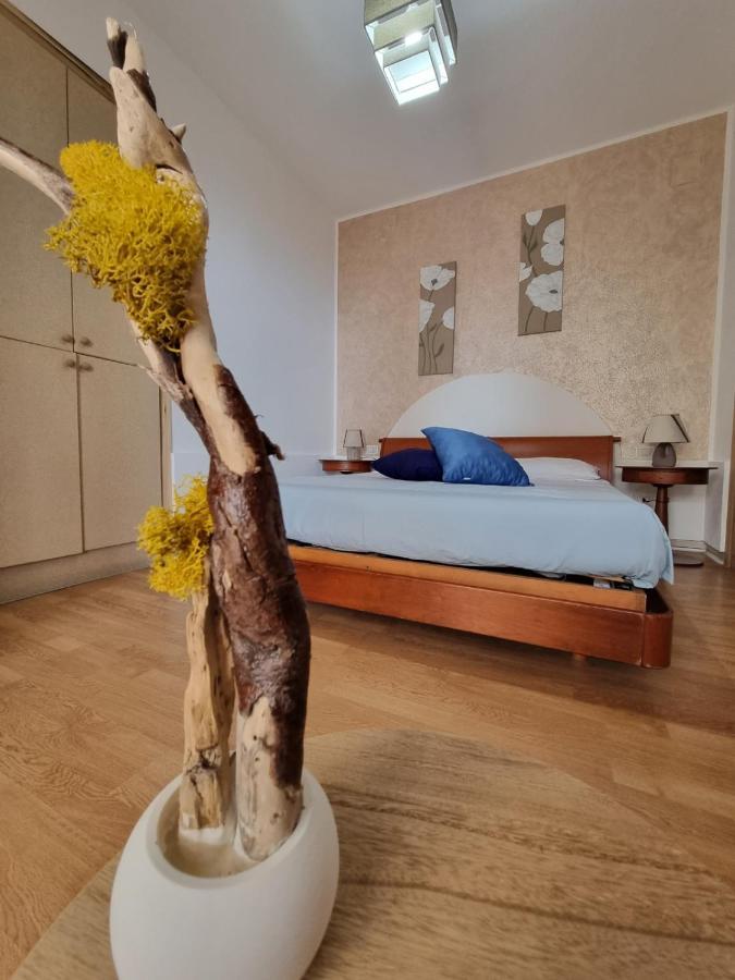 B&B Verzavo 切特拉罗 外观 照片